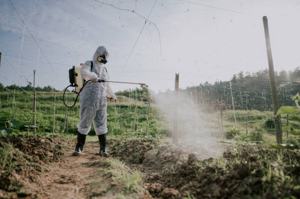 Best Pest Prevention Services  in Hillburn, NY