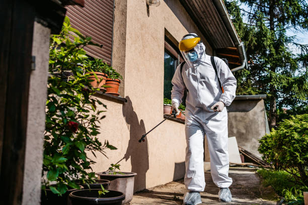 Best Ant Control Services  in Hillburn, NY