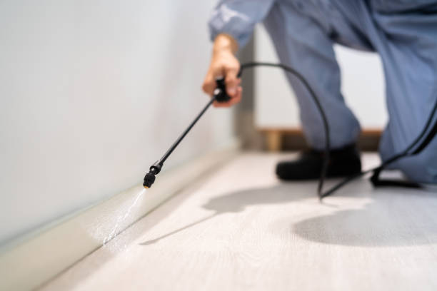 Best Commercial Pest Control Services  in Hillburn, NY