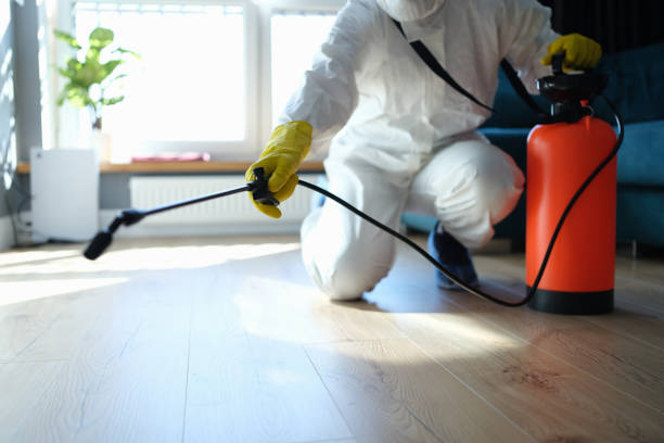 Flea Control Services in Hillburn, NY