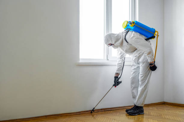 Insect Control in Hillburn, NY