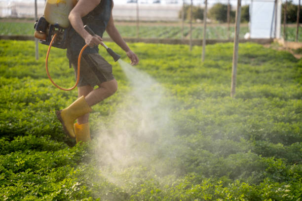 Professional Pest Control in Hillburn, NY