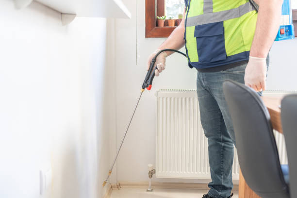 Best Termite Control Services  in Hillburn, NY