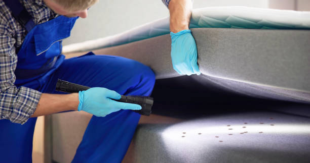 Best Bed Bug Extermination  in Hillburn, NY