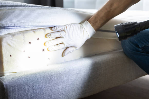 Best Cockroach Control Services  in Hillburn, NY