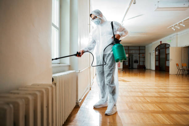 Best Flea Control Services  in Hillburn, NY