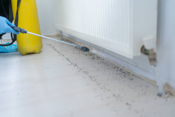 Pest Prevention Services in Hillburn, NY