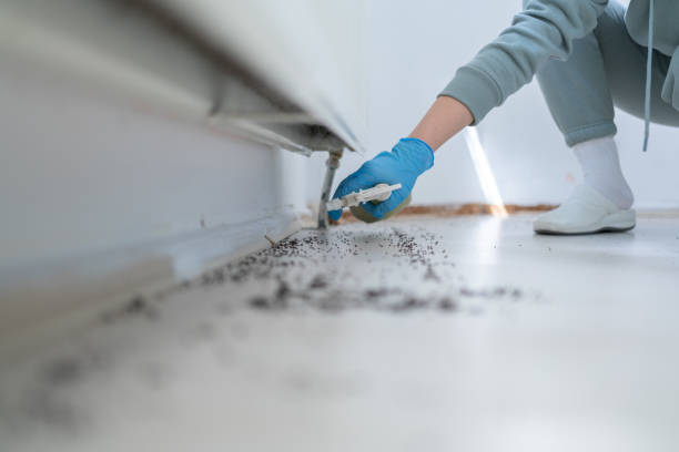 Best Best Pest Control Companies  in Hillburn, NY